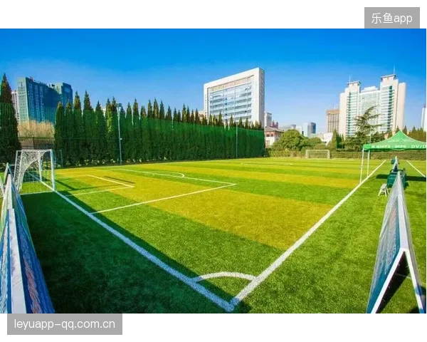 费耶诺德蓄势待发：技术升级引领未来足球新纪元